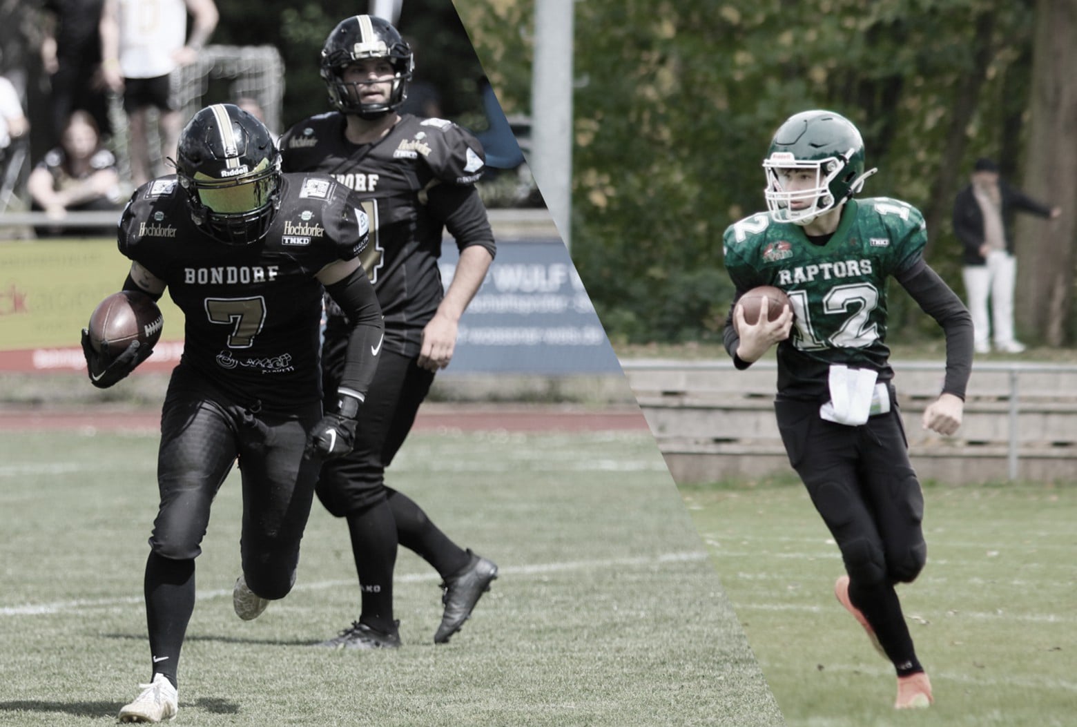 Herrenberg RAPTORS: 